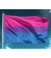 Drapeau 3X5 communauté Bisexuelle